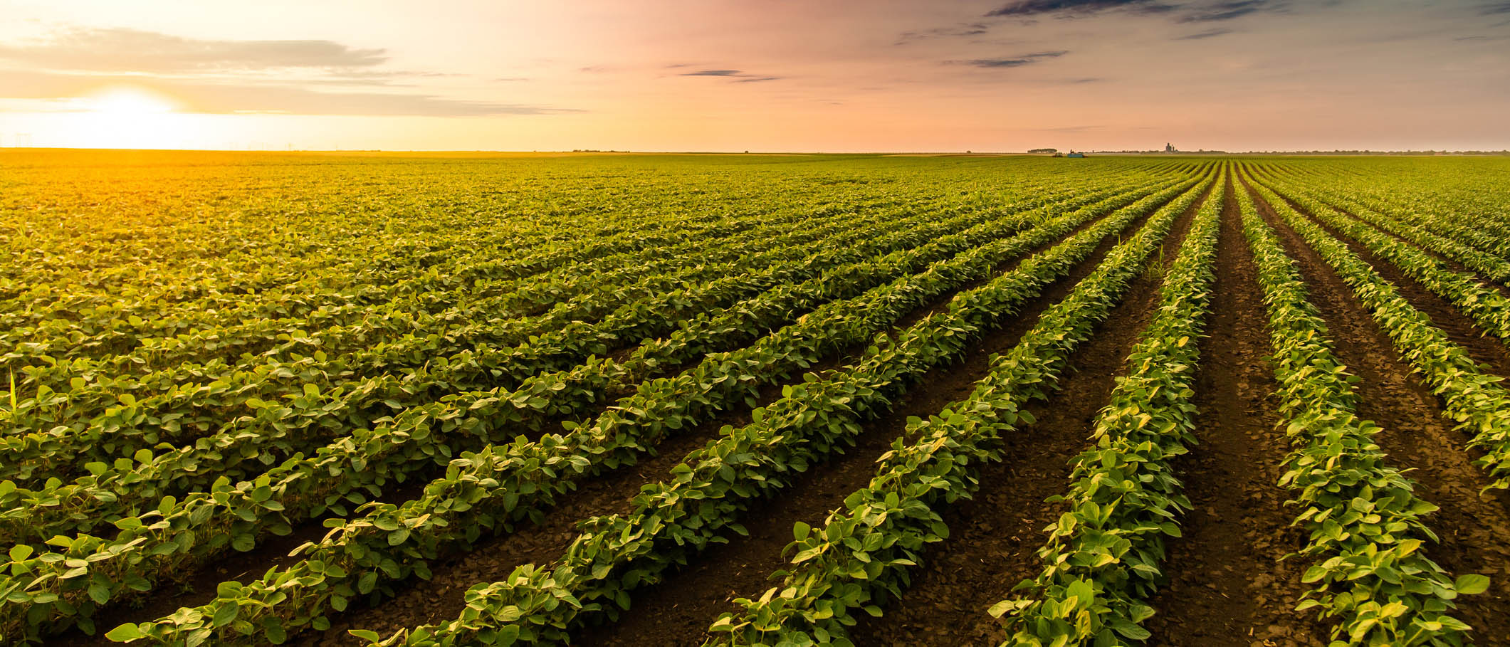 farm field illustrating food-related climate solutions