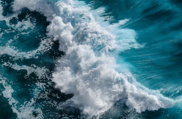 An image of the frothy crest of a wave