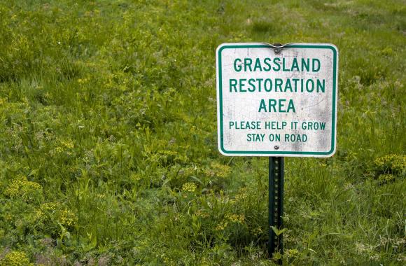 Grassland restoration area sign